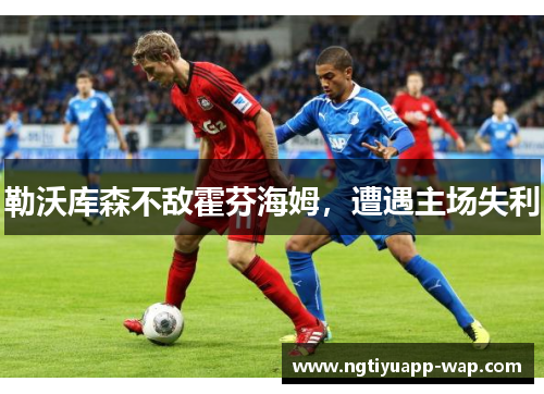 勒沃库森不敌霍芬海姆，遭遇主场失利