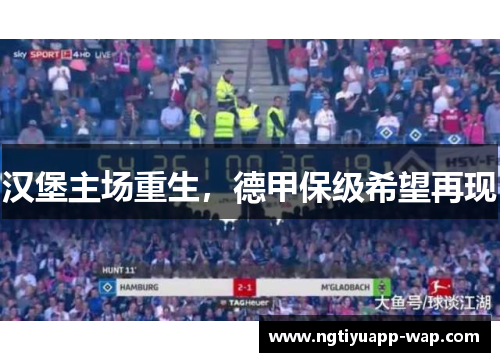 汉堡主场重生，德甲保级希望再现