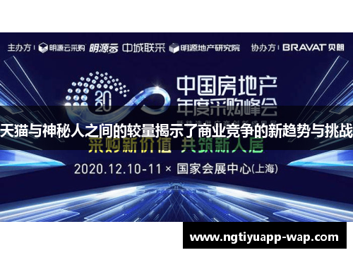 天猫与神秘人之间的较量揭示了商业竞争的新趋势与挑战
