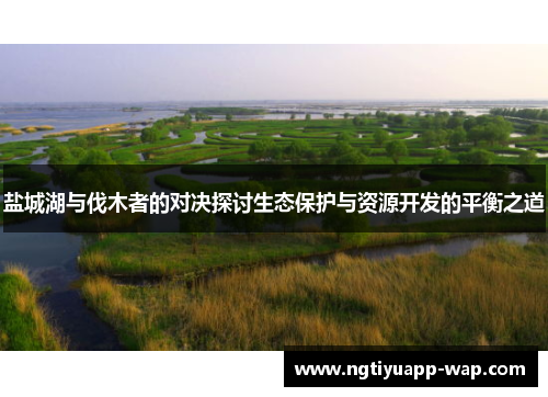 盐城湖与伐木者的对决探讨生态保护与资源开发的平衡之道